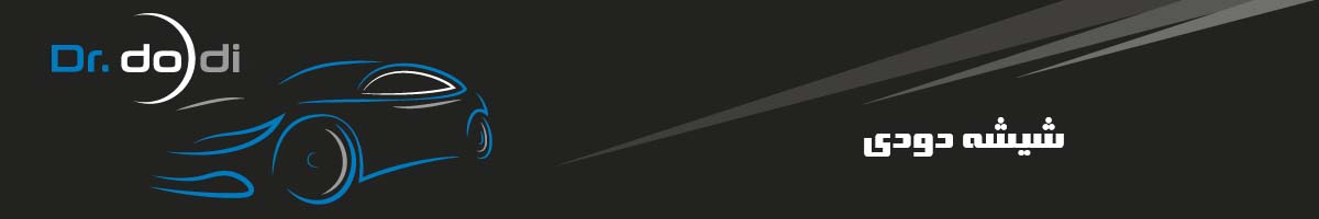 Professional Window Tinting Logo